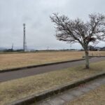 三股町ふれあい中央広場